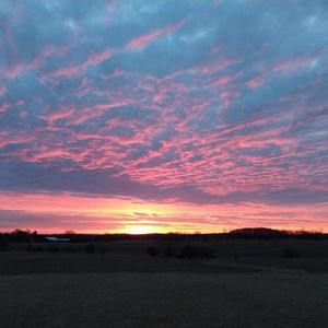 Meet your Posher, Justine